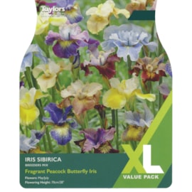 Taylors Iris Sibirica Mix (XL584)