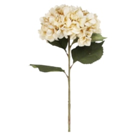 Gisela Graham Antique Cream Giant Hydrangea Stem 83cm (60339)