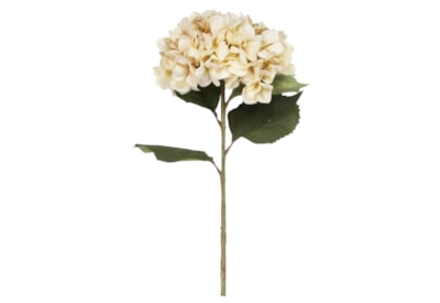 Gisela Graham Antique Cream Giant Hydrangea Stem 83cm (60339)