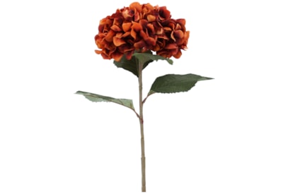 Gisela Graham Russet Giant Hydrangea Stem 83cm (60626)