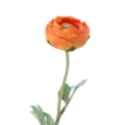 Gisela Graham Orange Ranunculus Stem 50cm (61018)