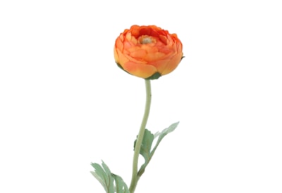 Gisela Graham Orange Ranunculus Stem 50cm (61018)