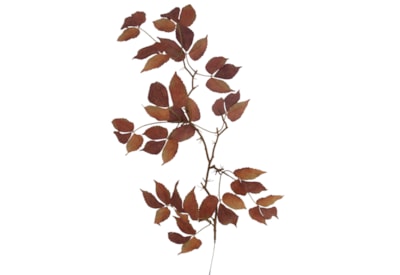 Gisela Graham Autumn Leaf Flatlay Branch 79cm (61238)